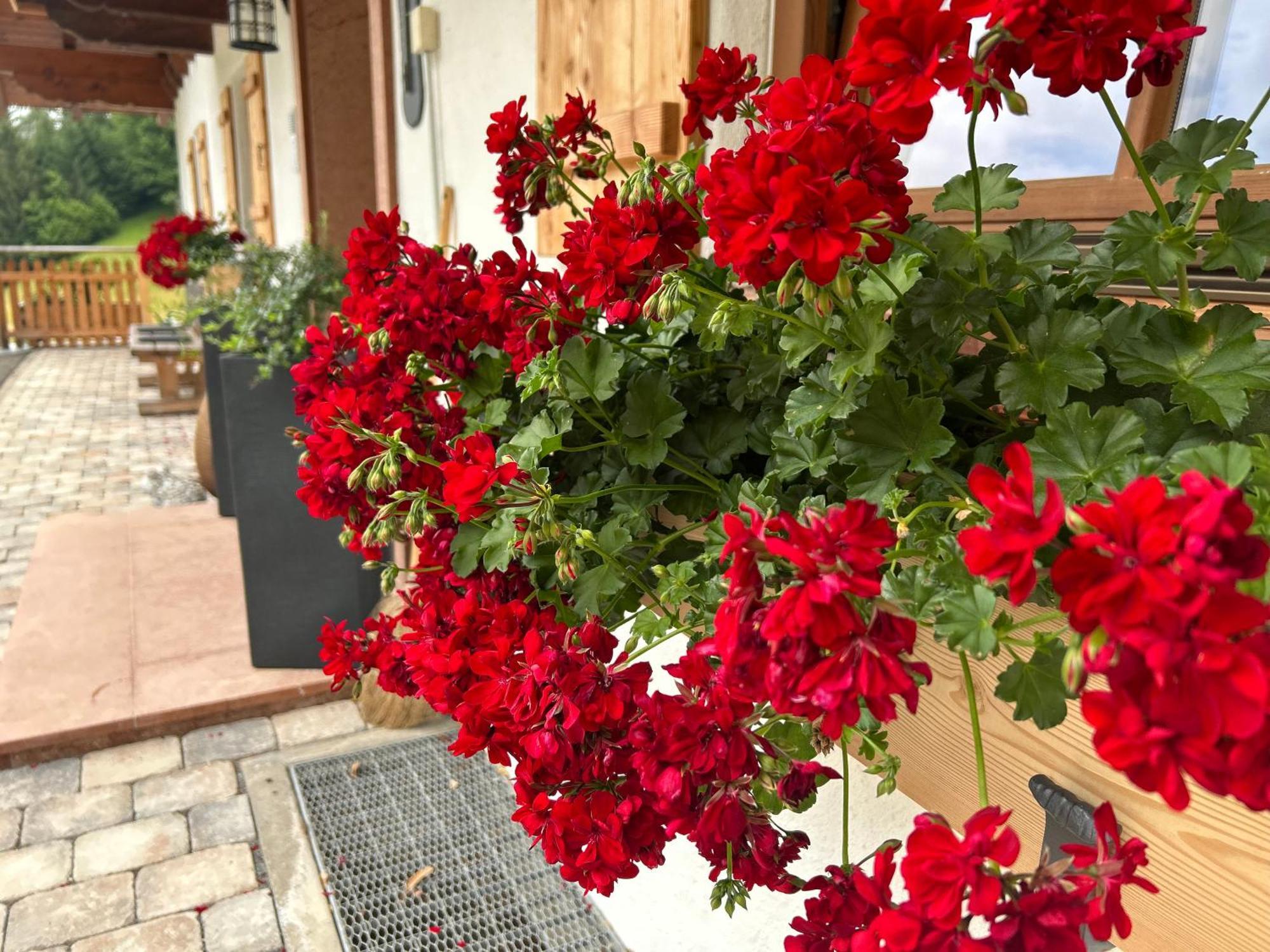 Hotel Auf'M Feggenlehen Ramsau bei Berchtesgaden Exterior foto